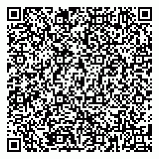 vCard 79185004736