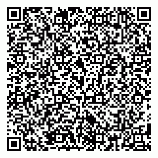 vCard 79185005325