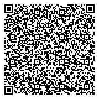 vCard 79185005329