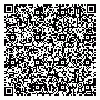 vCard 79185005341