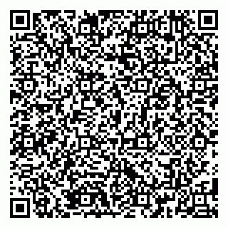 vCard 79185005381