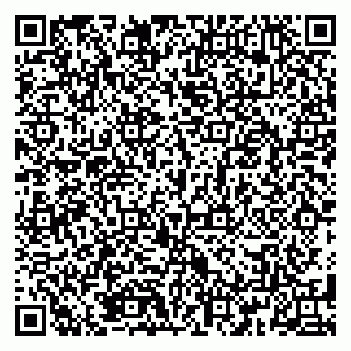vCard 79185005384