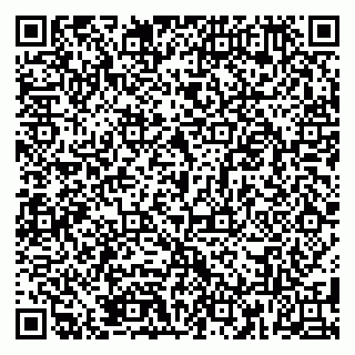 vCard 79185005410