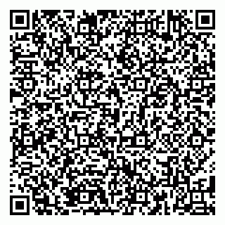 vCard 79185005413
