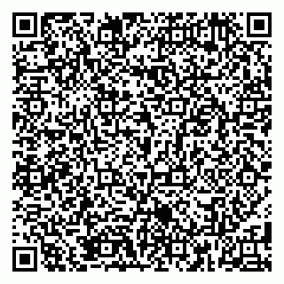 vCard 79185005419