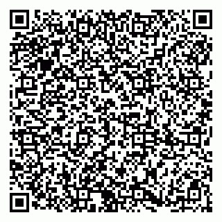 vCard 79185006281