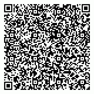 vCard 79185006295