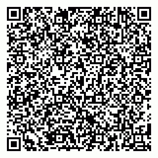 vCard 79185006313