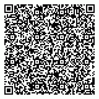 vCard 79185006351