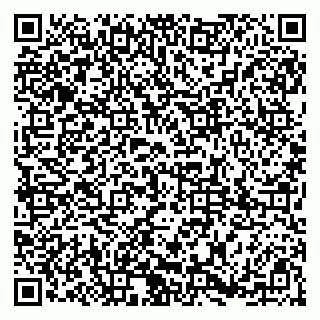 vCard 79185006372