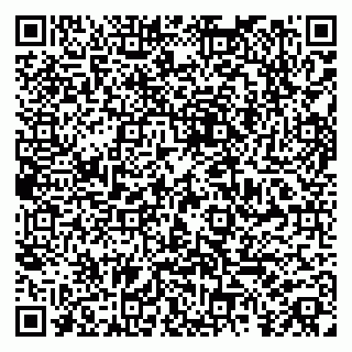 vCard 79185006380