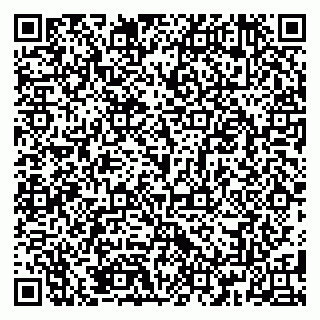 vCard 79185006381