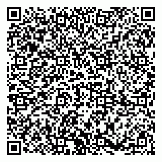 vCard 79185007334