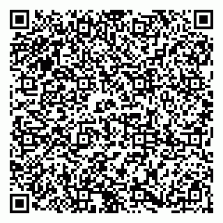 vCard 79185007399