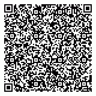 vCard 79185008001