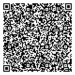 vCard 79185008021