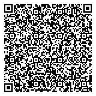vCard 79185008035