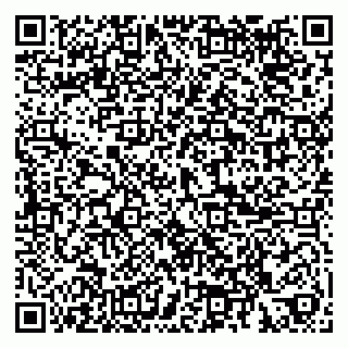 vCard 79185008064