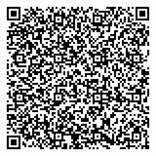 vCard 79185008197