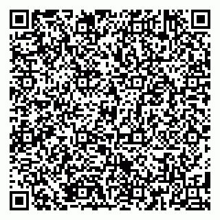 vCard 79185008203