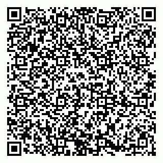 vCard 79185008205