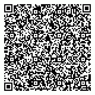 vCard 79185008225