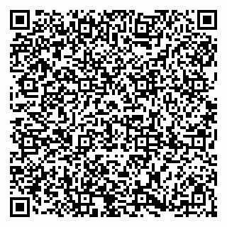 vCard 79185008287
