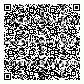 vCard 79185008294