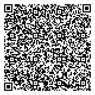 vCard 79185008304