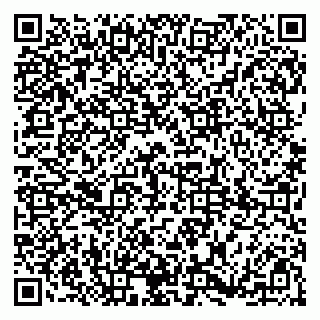 vCard 79185008313