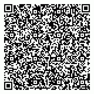 vCard 79185008314