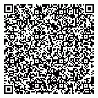 vCard 79185008339