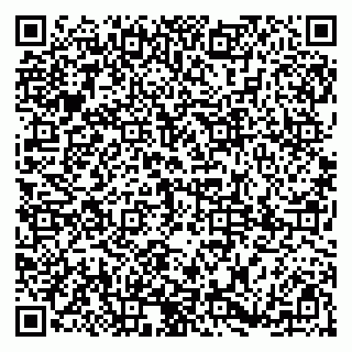 vCard 79185008403
