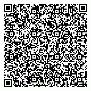 vCard 79185008413