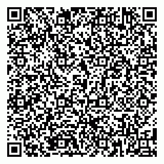 vCard 79185008533