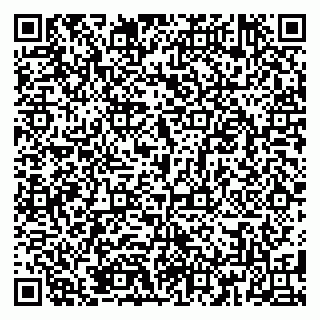vCard 79185008703