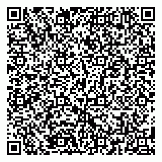 vCard 79185008704