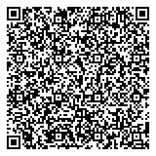 vCard 79185008705