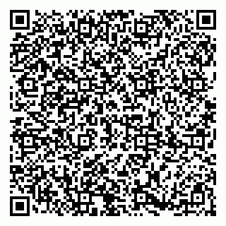 vCard 79185008708