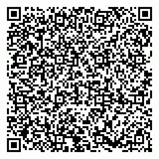 vCard 79185008738