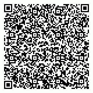 vCard 79185008763