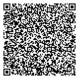 vCard 79185008873