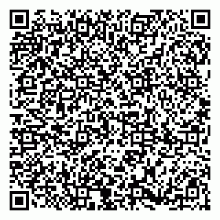 vCard 79185009013