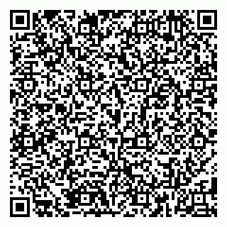 vCard 79185009019