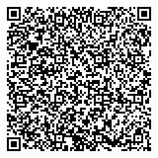 vCard 79185009032