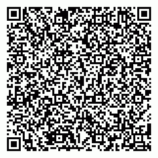 vCard 79185009082