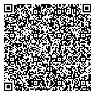 vCard 79185009111