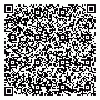 vCard 79185009154