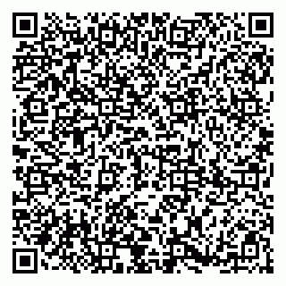vCard 79185009201