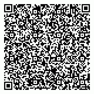 vCard 79185009203